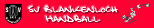 SVB Handball